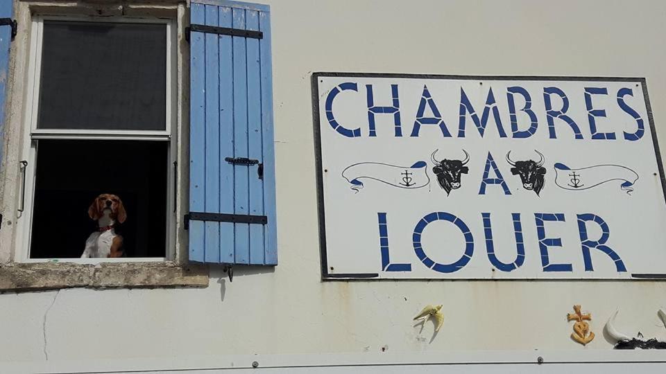 Le Cocardier Saintes-Maries-de-la-Mer Buitenkant foto
